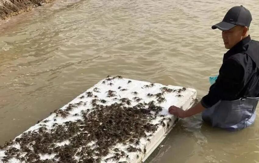 QQ截图20220317095207.jpg
