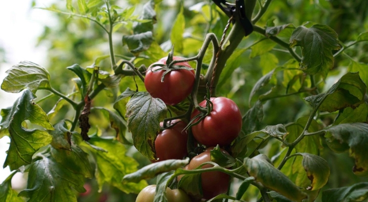 微信截图_20240423143355.png 微信截图_20240423143355.png