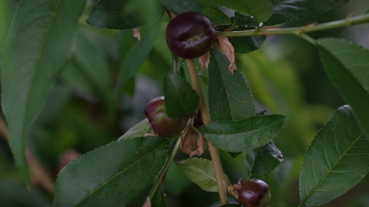 微信截图_20240423143401.png 微信截图_20240423143401.png